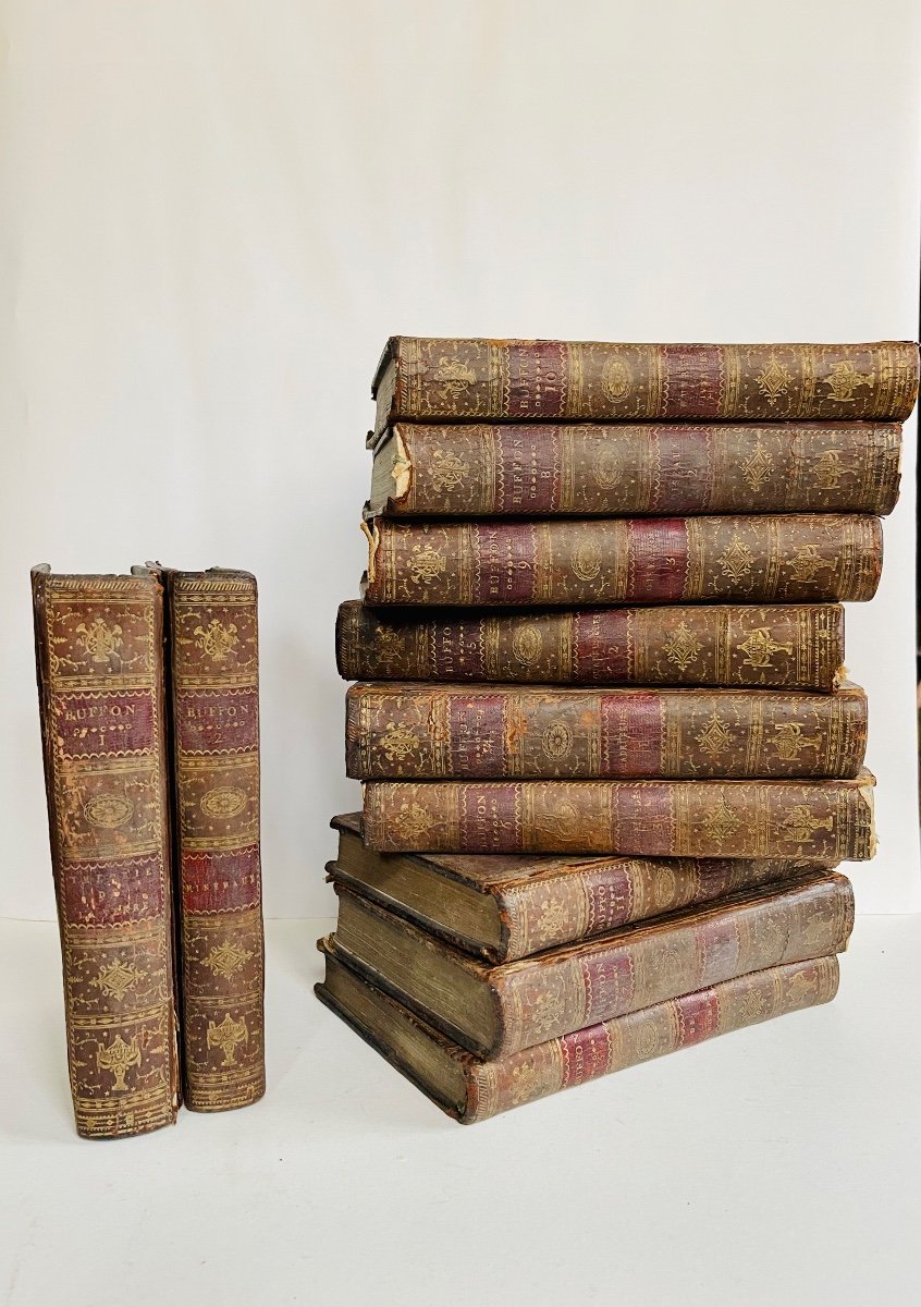 Histoire Naturelle De Buffon En 11 Volumes 